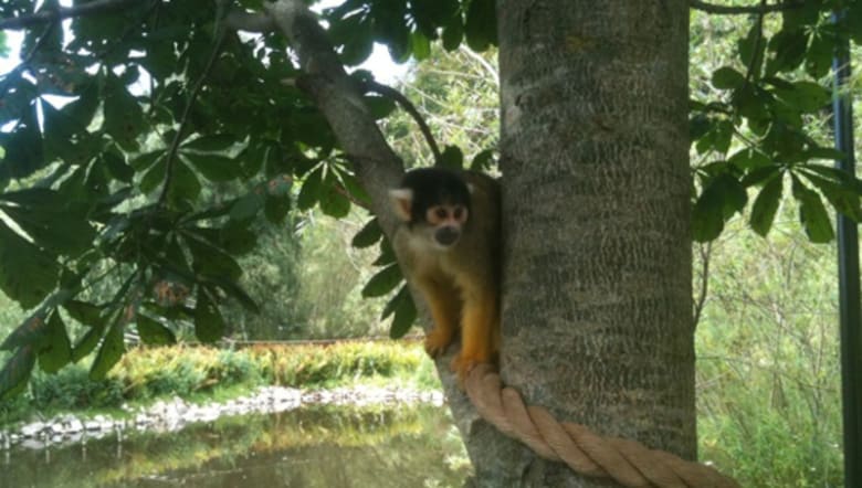 safari zoo danmark