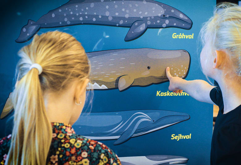 Udstillingen "Rejsen under havet" i Storcenter Nord 