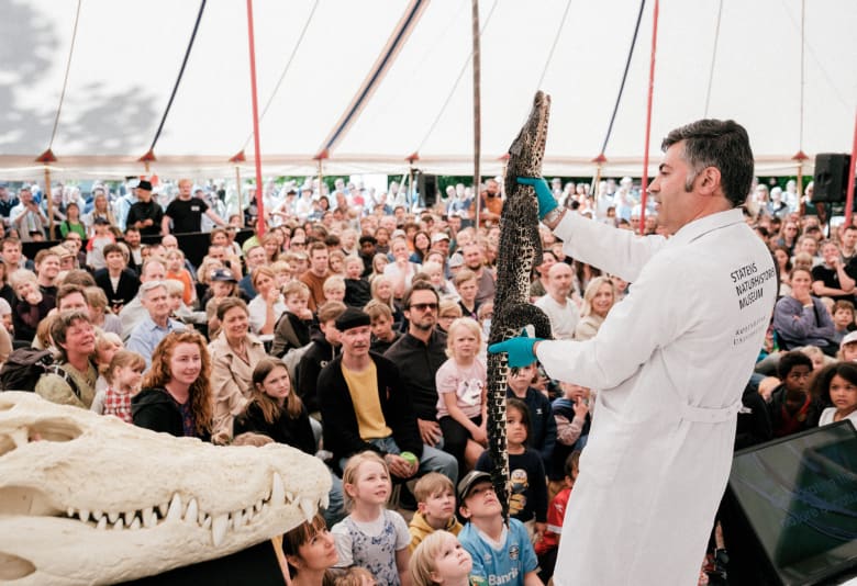 Krokodilledissektion. Fotograf:  ©-Malthe-Ivarsson