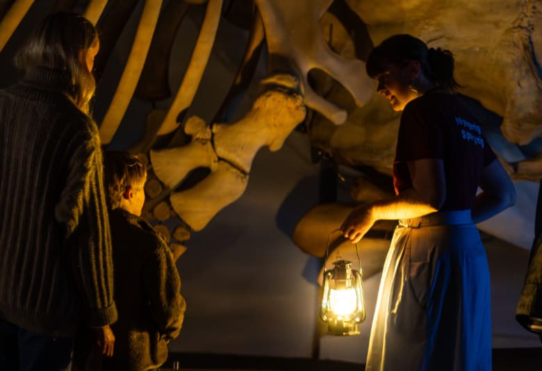 Nat på Museet. Fotograf: Naturhistorisk Museum Aarhus