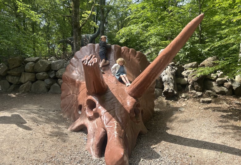 Børn i Skåne Djurpark. Foto: Nanna Enevoldsen