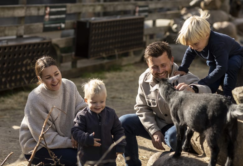 Zoologisk Have. Foto: Anders Hviid