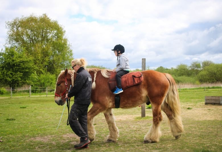 Tag en ridetur til forårsmarkedet. Fotograf: Grennesminde