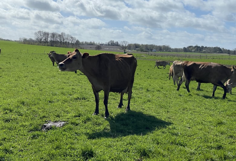 Økodag. Foto: Stephanie Mielnicki