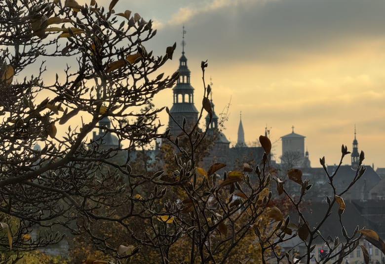 Udsigt til Rosenborg fra caféen