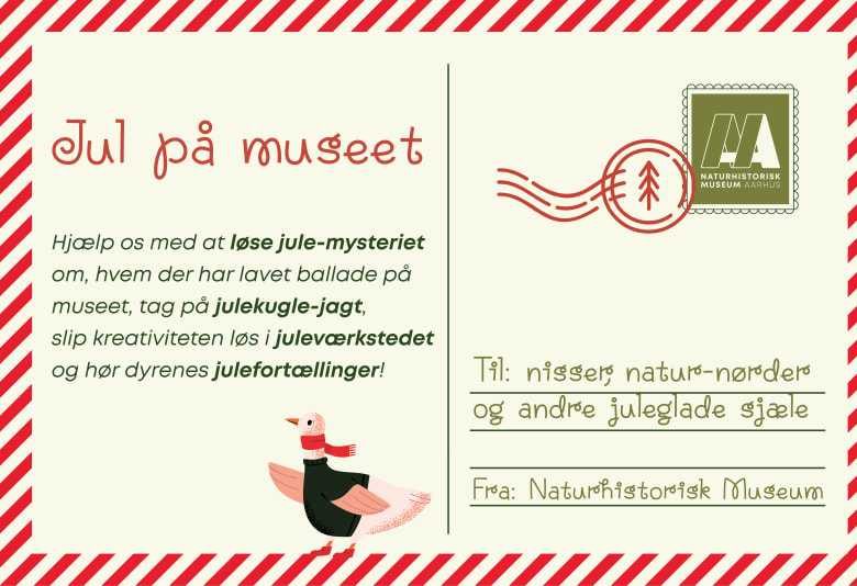 Jul på Naturhistorisk Museum. Fotograf: Naturhistorisk Museum