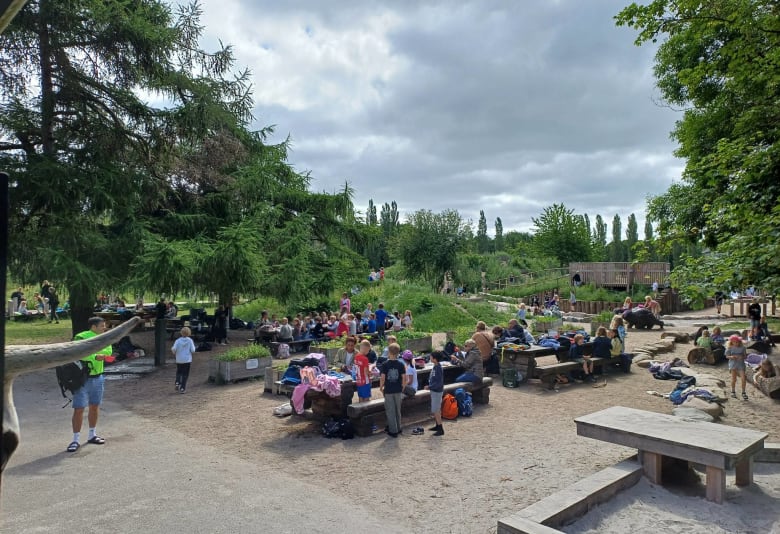 Sommerferie på naturlegepladsen i Valby. Foto: Københavns Kommune