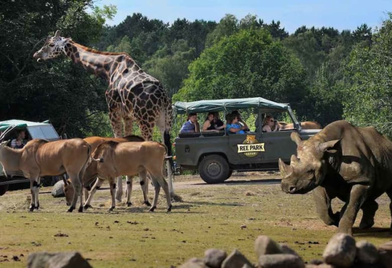 Ud og se på dyr. Fotograf: Ree Safari Park