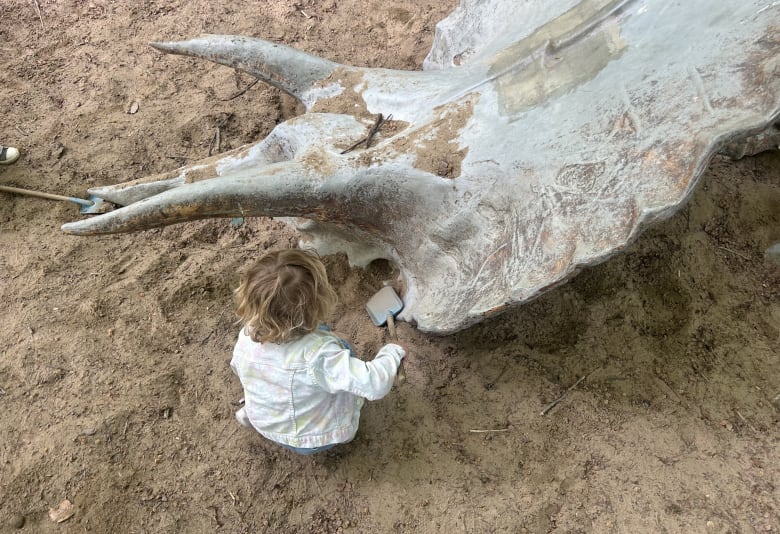 Udgravningsplads i Dinosaurernes Verden