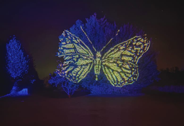 Magiske lys over Ledreborg. Fotograf: Ledreborg