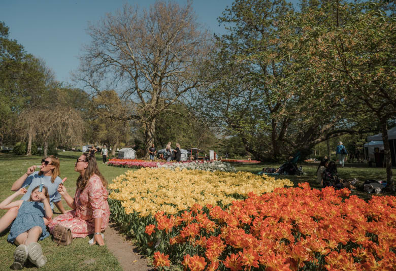 Gavnø Tulipan Festival. Foto: Mads Tolstrup