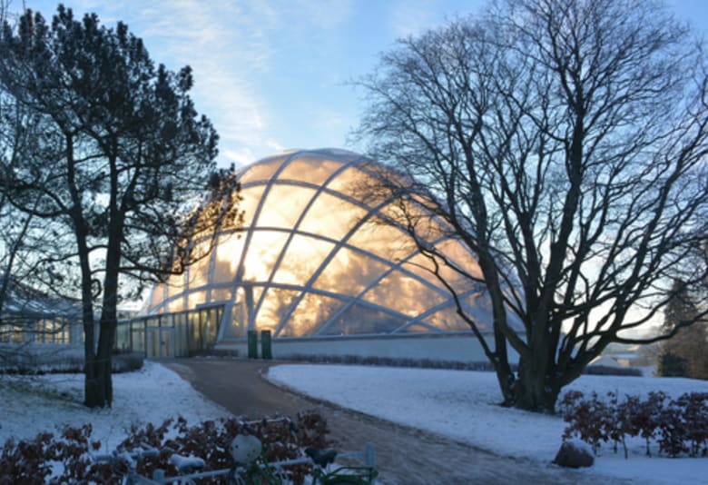 Jul i Væksthusene. Foto: Væksthusene