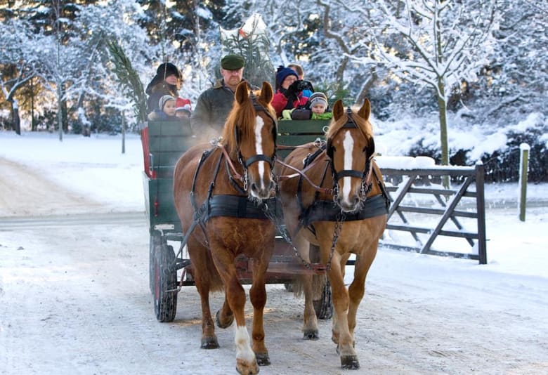 Foto: Visit Fjordlandet