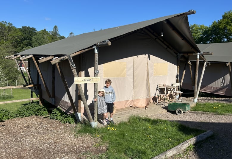 Wild Lodge 