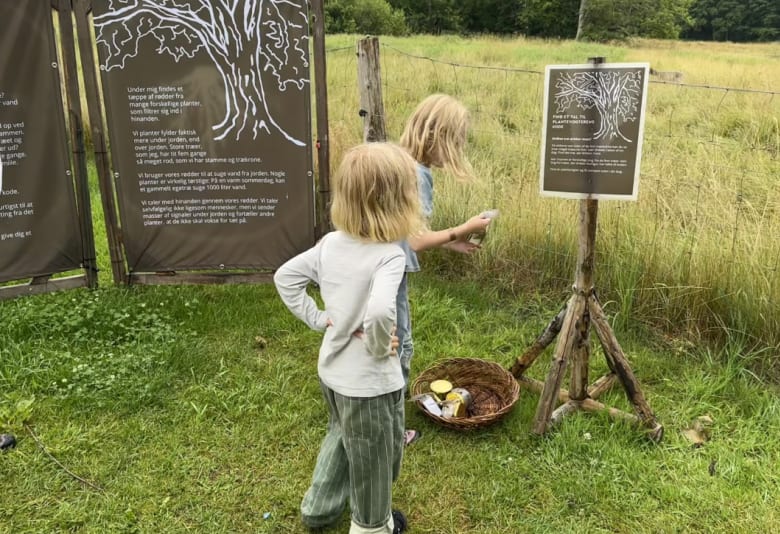 Sommeraktivitet for børn om planternes rige på Esrum Kloster. Foto: Stephanie Mielnicki