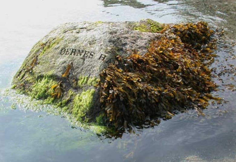 Foto: Astrid Gjesing/Måne·Hav·Sten