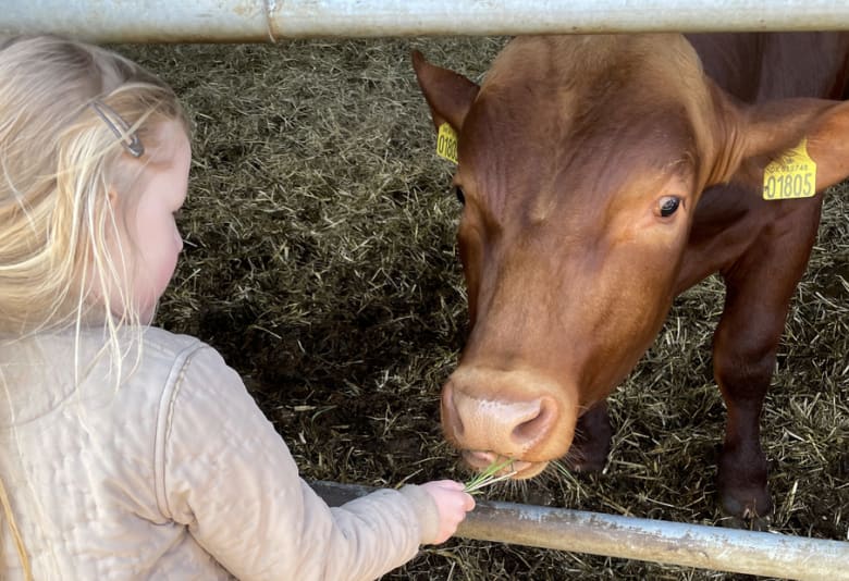 Foto: Stephanie d'Aceria