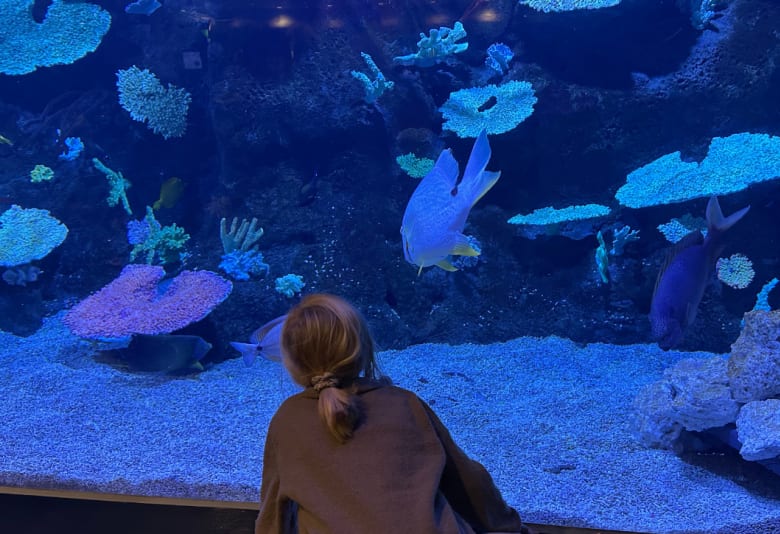 Akvariefoyeren i Tivolis Koncertsal. Foto: Stephanie Mielnicki