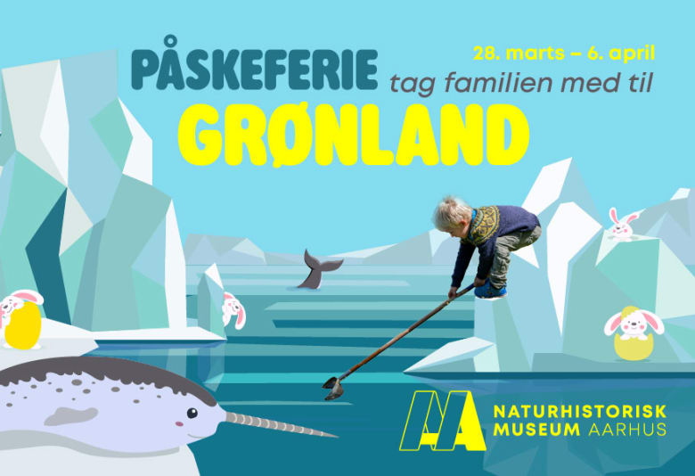 Bliv klog på Grønland i påskeferien. Grafik: Naturhistorisk Museum Aarhus