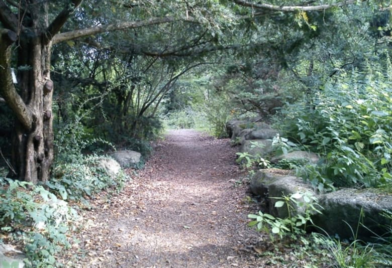 Foto: Forstbotanisk Have