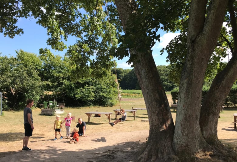 Krogerup Avlsgaard. Fotograf: Caroline Meldgaard