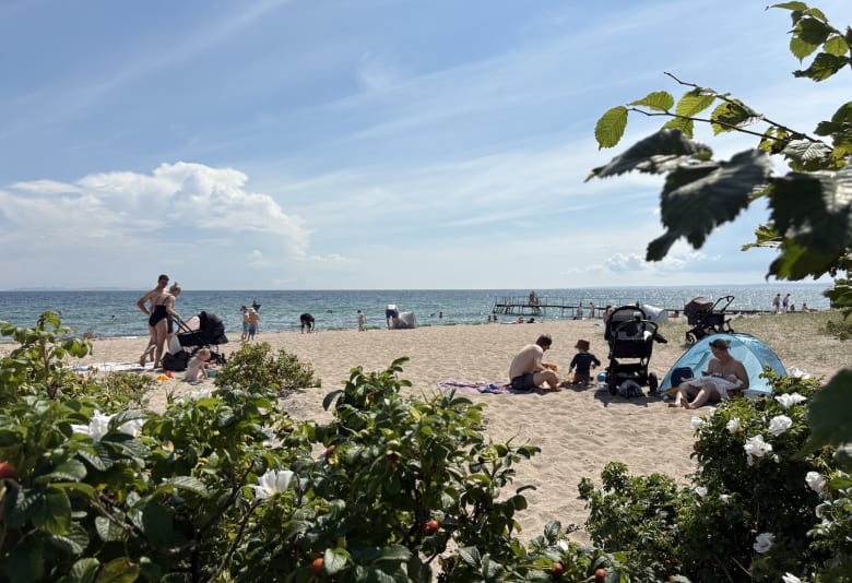 Espergærde strand. Foto: Caroline Meldgaard
