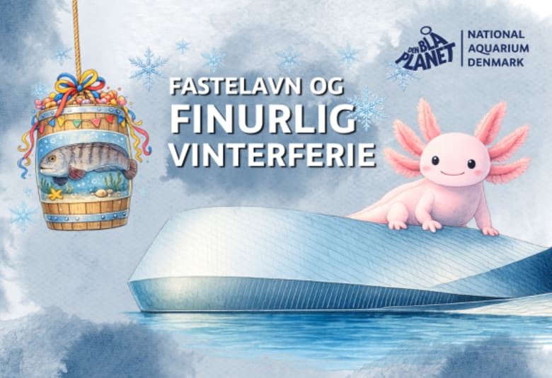 Fastelavn på Den Blå Planet. Foto: Den Blå Planet