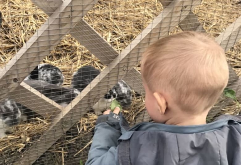 Gartnergaarden. Fotograf: Julie Hedelund