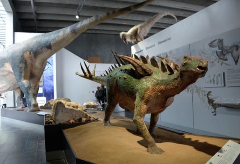 NaturBornholm. Fotograf: Destination Bornholm