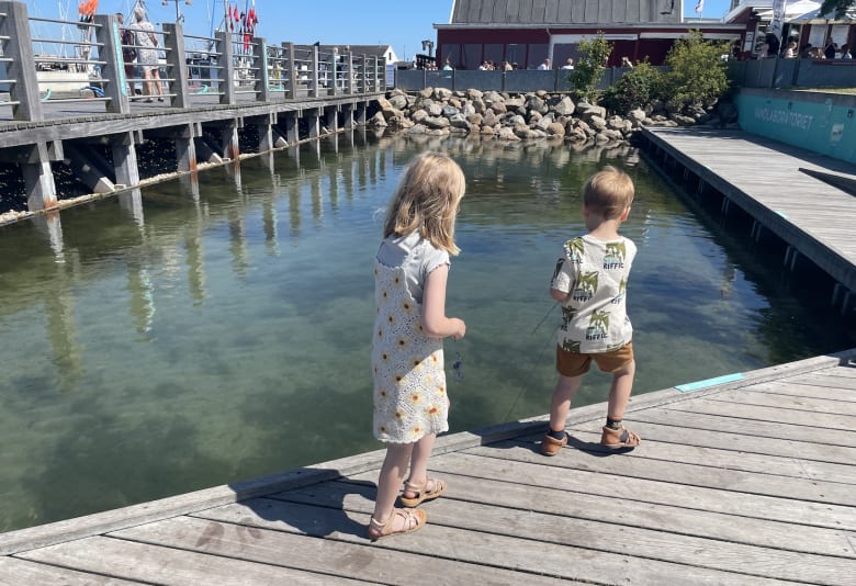 Børn ved Øresundsakvariets Vandlaboratorium. Foto: Stephanie d'Aceria