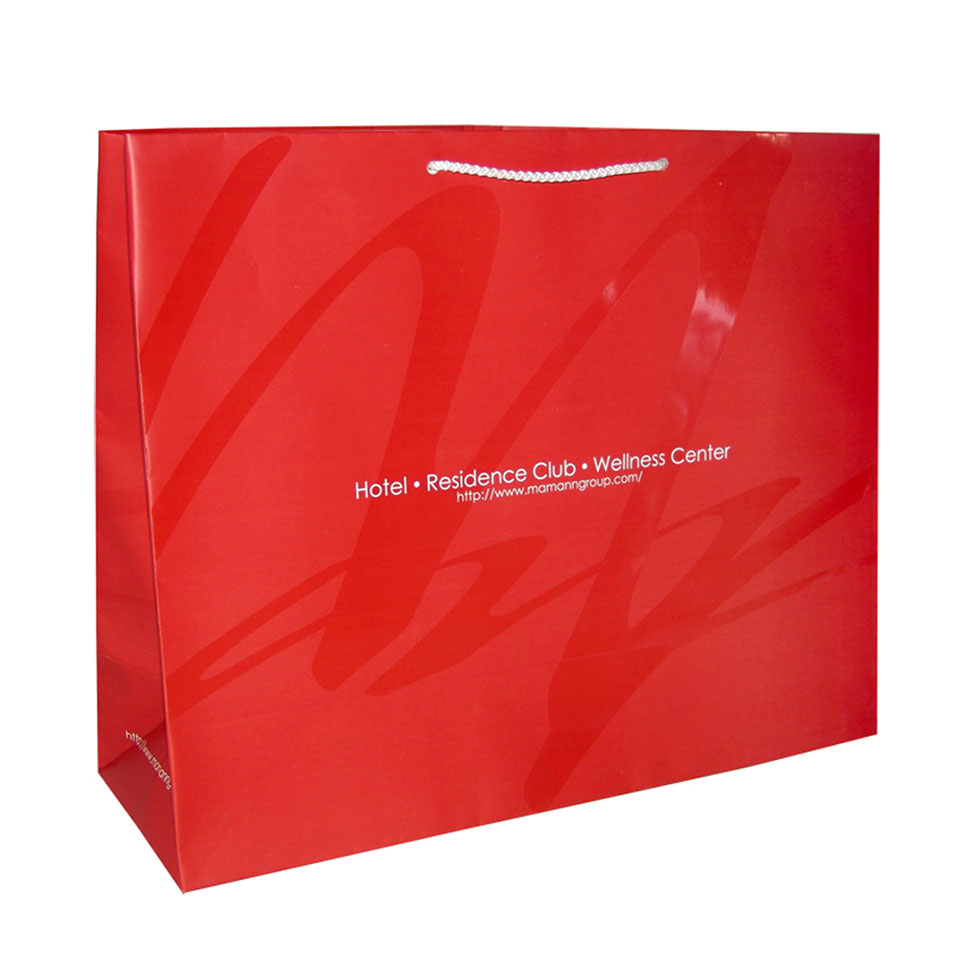 SPOT & UV Varnish Custom Printed Paper Bags BÖRSE HANDBRANDING