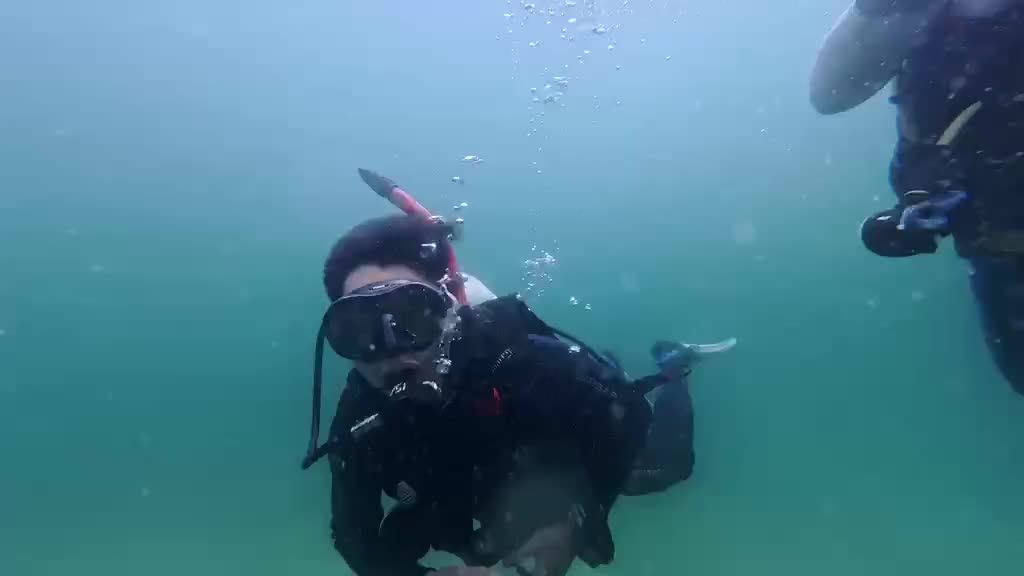Scuba Diving video