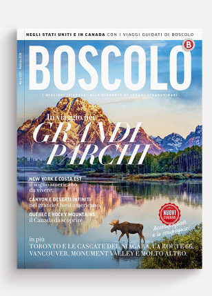 Catalogo Stati Uniti