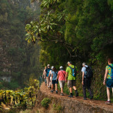Madeira