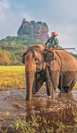 Sri Lanka