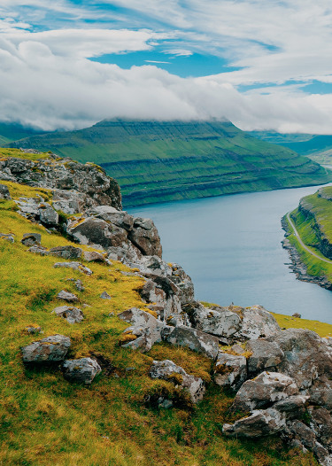 Nuovi cataloghi 2026