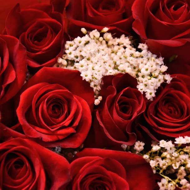 Gift Card San Valentino