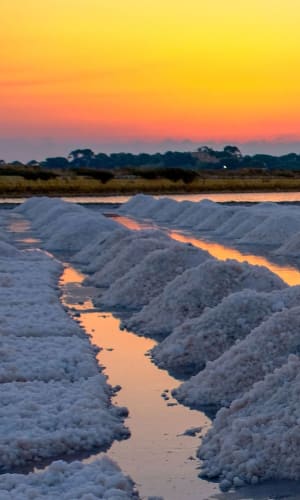 Salina Marsala