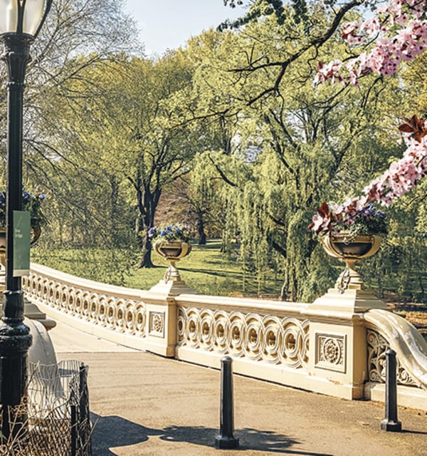 Central Park a New York