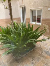 Apartment for Rent in Abdullah Al-Mubarak - West Jleeb