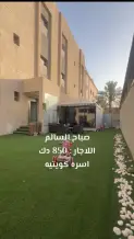 Apartment for Rent in Sabah Al-Salem