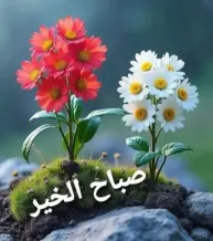 بيت للبيع في جابر الاحمد