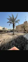 House for Rent in Mubarak Al-Kabeer