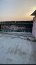 شقة للايجار في صباح السالم