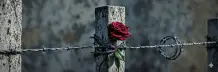شقة للايجار في صباح السالم