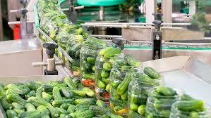 Farm for Sale in Wafra Farms