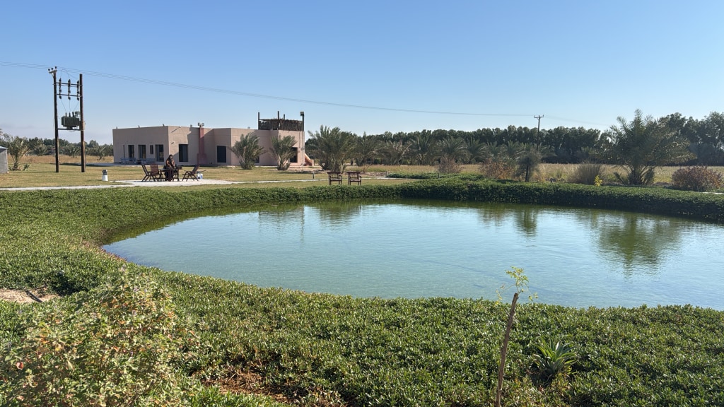 Farm for Sale in Abdaly Farms