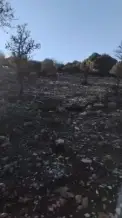 Land for Sale in Qosour