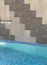 Apartment for Rent in Salmiya