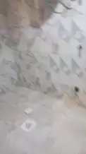 شقة للايجار في صباح السالم